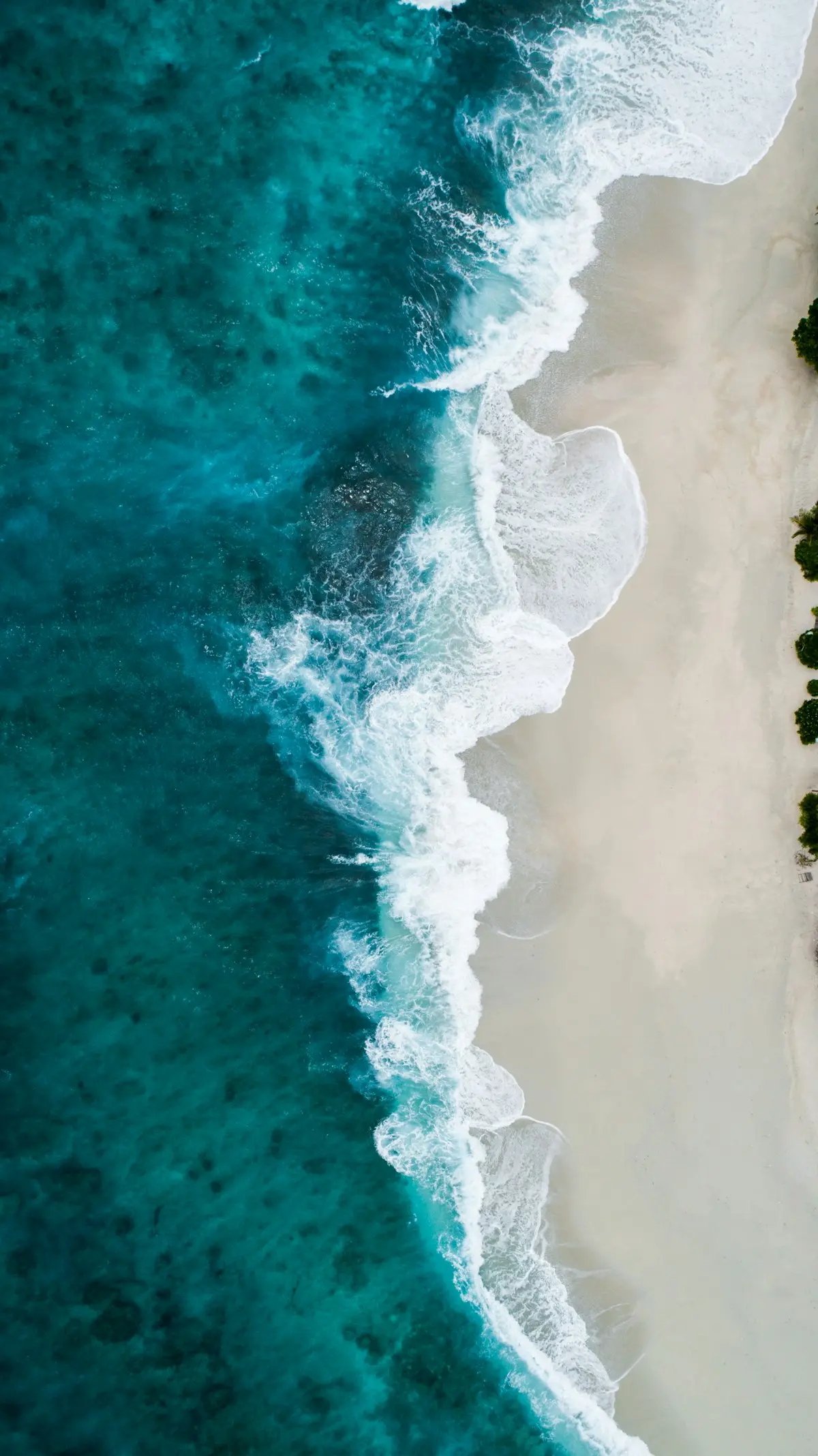 Torre Brava — Luxury Surf Residences 3